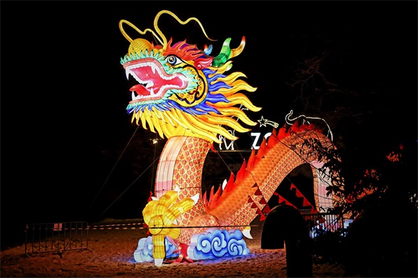 四海为家打一精确正确生肖，精确正确成语揭释落实释义